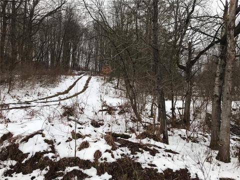 Plank Road, Corry, PA 16407 photo 6