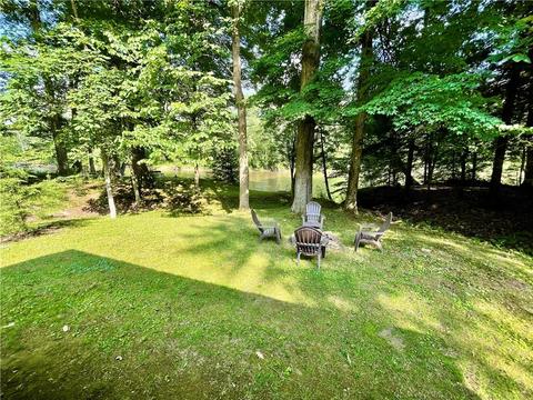 23178 Plank Rd, Venango, PA 16440 photo 19