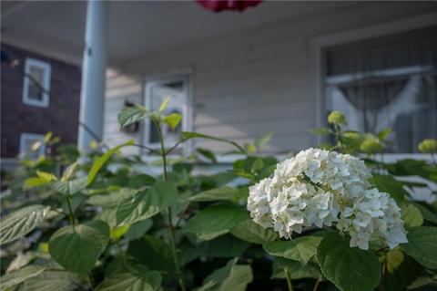 118 E Frederick St, Corry, PA 16407 photo 4