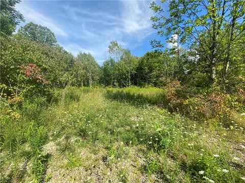 12646 Florencesherri Dr, Espyville, PA 16424
