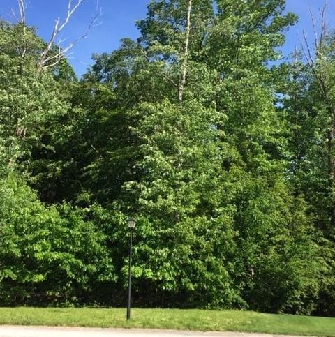 Palomino Court, Erie, PA 16506