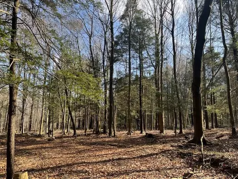 0 Fenner Rd, Stockton, PA 14782