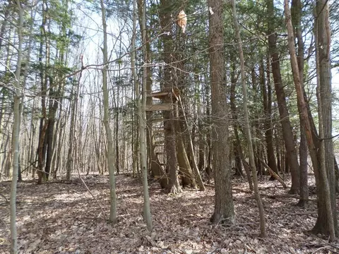 View/Area - 13730 Crosscut Rd, Corry, PA 16407 photo 2 of 3