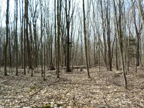 View/Area - 13730 Crosscut Rd, Corry, PA 16407 photo 1 of 3
