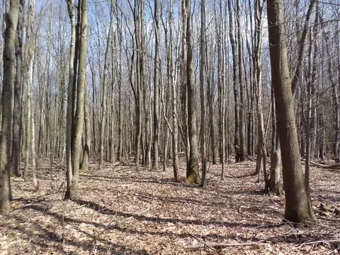 Other - 13730 Crosscut Rd, Corry, PA 16407 photo 5 of 6