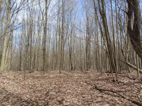 View/Area - 13730 Crosscut Rd, Corry, PA 16407 photo 3 of 3