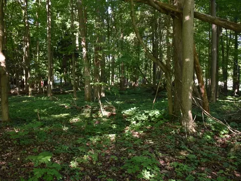 lot S 226-227 Edgewood Dr, Linesville, PA 16424