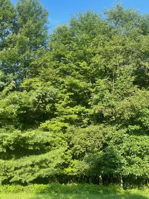 Carlton Road, Carlton, PA 16311