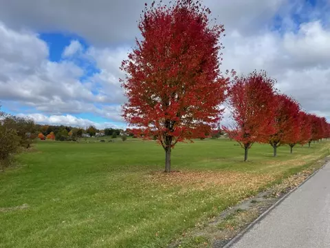 Jackson Station Road, Waterford, PA 16441 photo 5