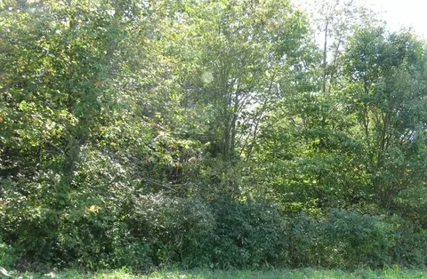 0 Leacock Rd, Edinboro, PA 16412