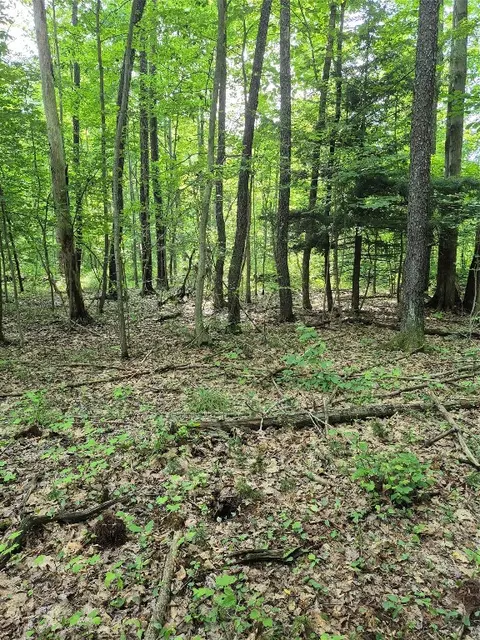 lot3 Biscoff Rd, Albion, PA 16401