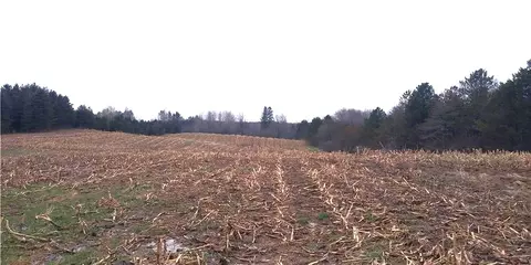Fish Road, Conneautville, PA 16406
