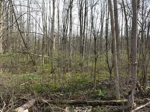 3214-024 Blooming Valley Rd, Meadville, PA 16335