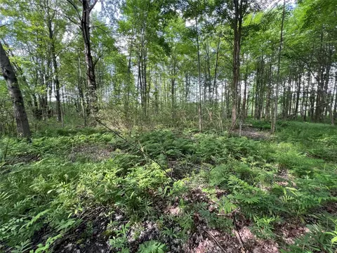 50 Acres On S Center And Thatcher Rd, Conneautville, PA 16406