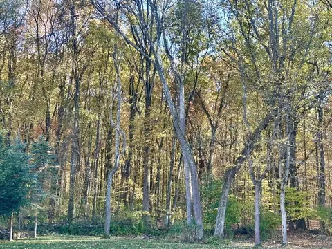 Petersburg Road, Hadley, PA 16310