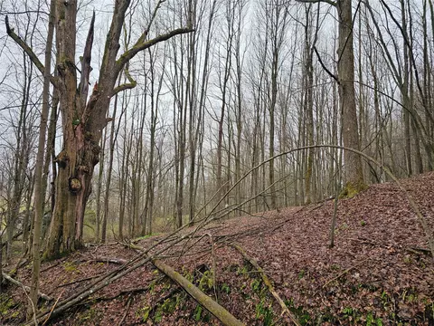 Off Plank Road, Corry, PA 16407 photo 2