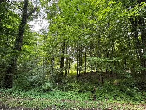 Maple Road, Linesville, PA 16424