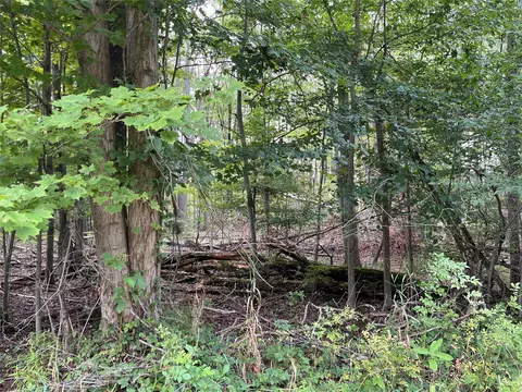 0 Reeds Rd, Conneautville, PA 16406