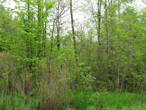 0 Parkside Dr, Harborcreek, PA 16510