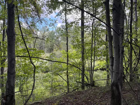 Scribner Road, Conneaut, OH 44030 photo 13