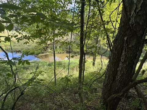 Scribner Road, Conneaut, OH 44030 photo 17