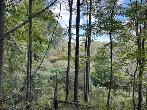 Scribner Road, Conneaut, OH 44030 photo 12