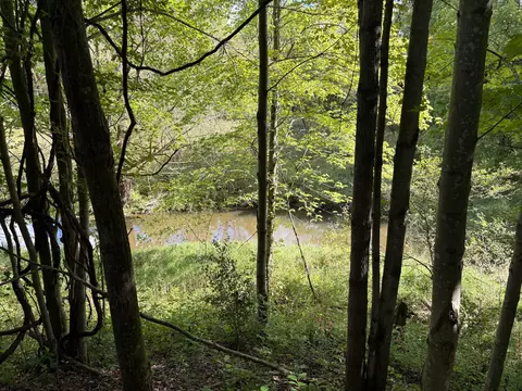 Scribner Road, Conneaut, OH 44030 photo 14