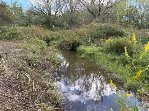 Scribner Road, Conneaut, OH 44030 photo 5