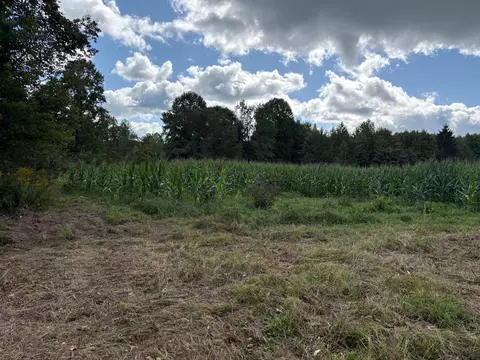 Scribner Road, Conneaut, OH 44030 photo 9