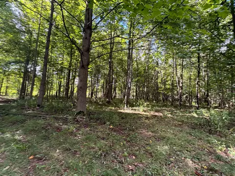 Scribner Road, Conneaut, OH 44030 photo 19