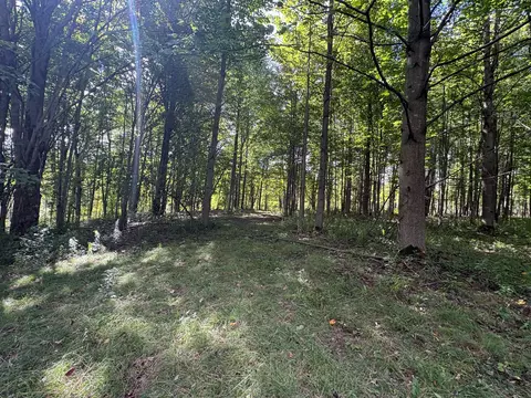 Scribner Road, Conneaut, OH 44030 photo 18