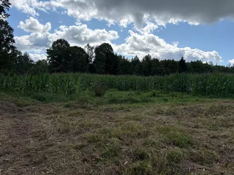 Scribner Road, Conneaut, OH 44030 photo 8