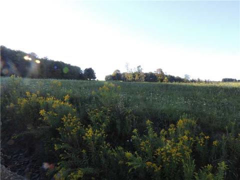 17046 Sciota, Corry, PA 16407 photo 3