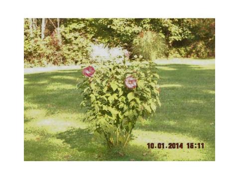 23402 Dunn Rd, Cochranton, PA 16314 photo 13