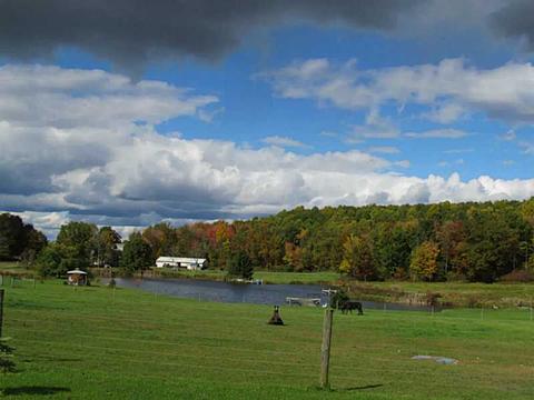 8080 Devillars Rd, Cochranton, PA 16314 photo 14