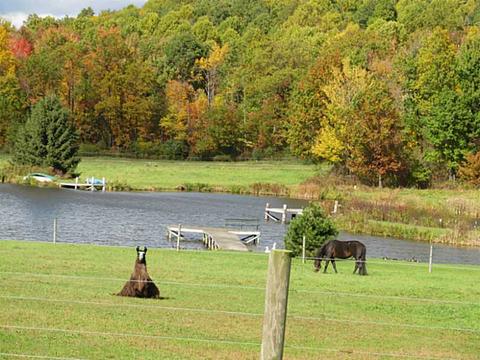 8080 Devillars Rd, Cochranton, PA 16314 photo 13