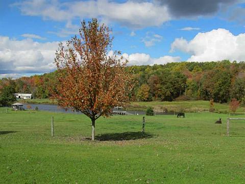 8080 Devillars Rd, Cochranton, PA 16314 photo 15