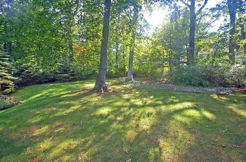 218 Mountain Ave, Summit, NJ 07901 photo 10