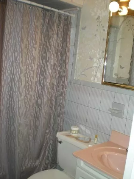 5 Pelham Ave, Edison, NJ 08817 photo 5