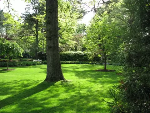 47 Colt Rd, Summit, NJ 07901 photo 21
