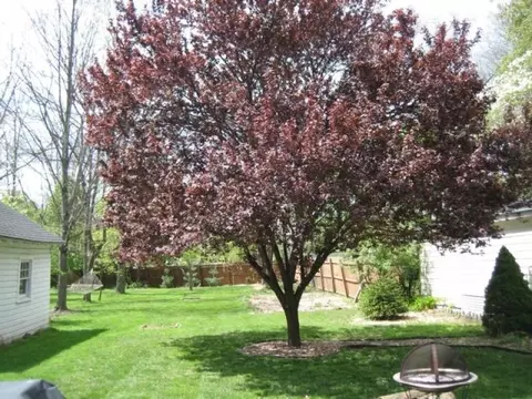 13 Brookside Ave, Basking Ridge, NJ 07920 photo 11