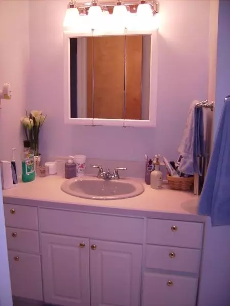 65 Conner Ave, Edison, NJ 08817 photo 6