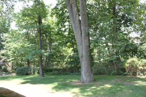 68 Lyons Pl, Springfield, NJ 07081 photo 20