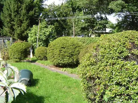 31 Jackson Ave, North Plainfield, NJ 07060 photo 9