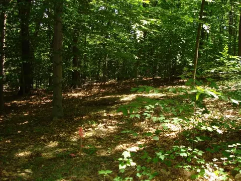 4 Eugene Dr, Saddle River Boro, NJ 07458 photo 2