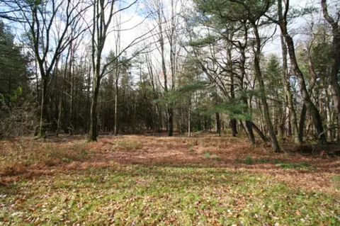 395 Cedar Ridge Rd, Bedminster, NJ 07921 photo 9