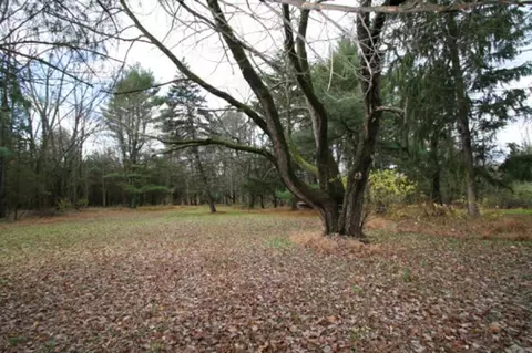 395 Cedar Ridge Rd, Bedminster, NJ 07921 photo 7