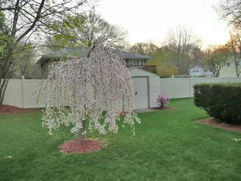 150 Truman Ter, Paramus, NJ 07652 photo 14