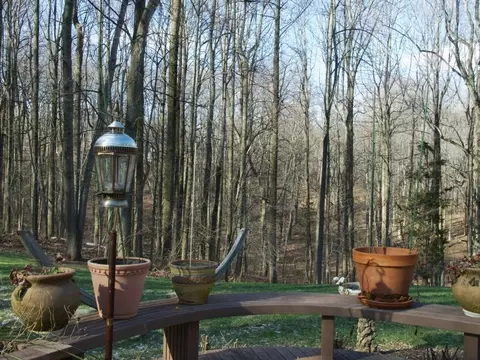 5 Scotch Willie Ln, Hampton, NJ 08827 photo 11