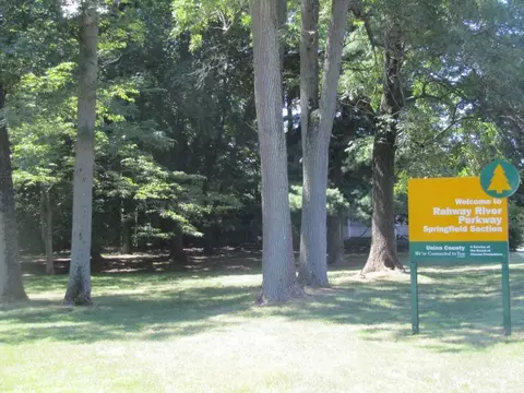 37 Washington Ave, Springfield, NJ 07081 photo 6